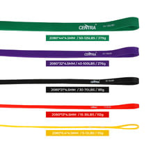10 Piece Pasco Resistance Band Set